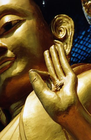 009 portfolio (2004)