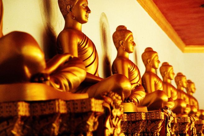 010 portfolio (2004)