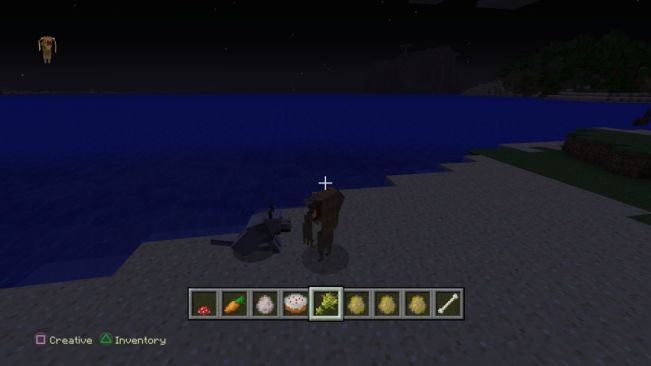 Minecraft: PlayStation®4 Edition_20150125041903