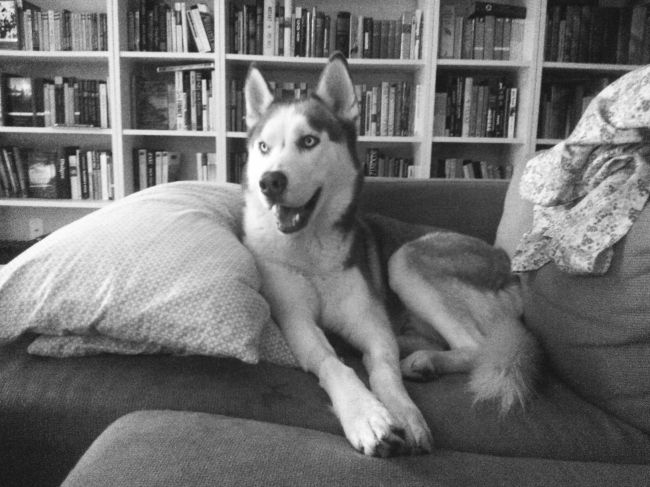 cloud black and white