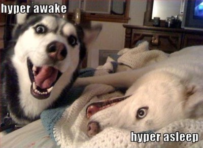 hyper awake  hyper asleep