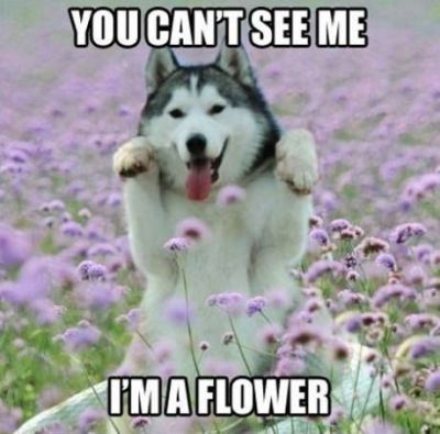 you can't see my i'm a flower