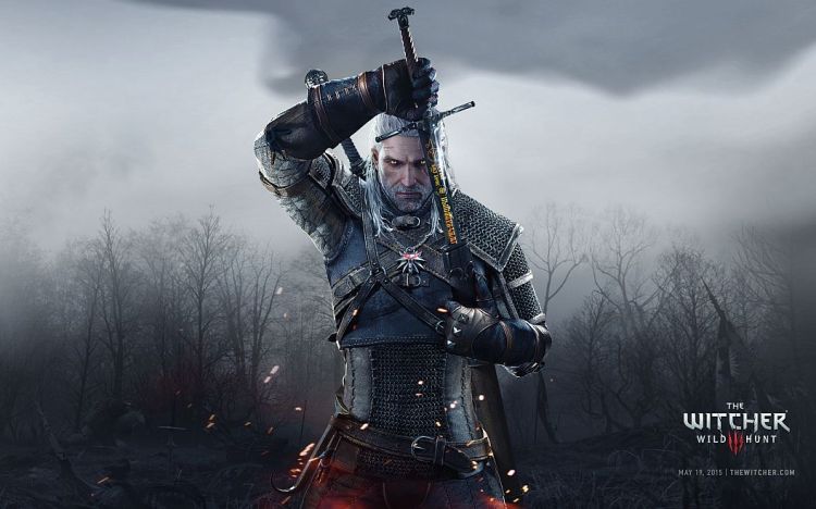 the witcher 3 wild hunt