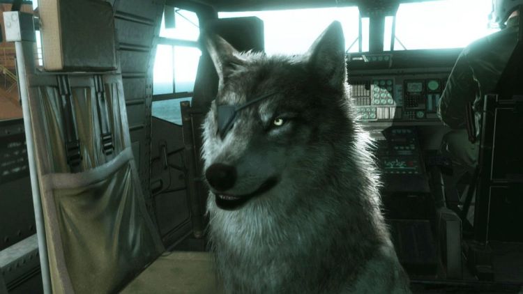 metal gear solid v the phantom pain d dog
