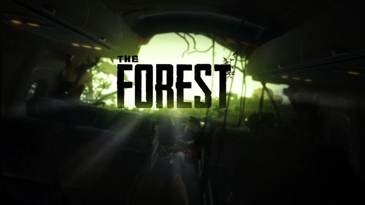 the forest