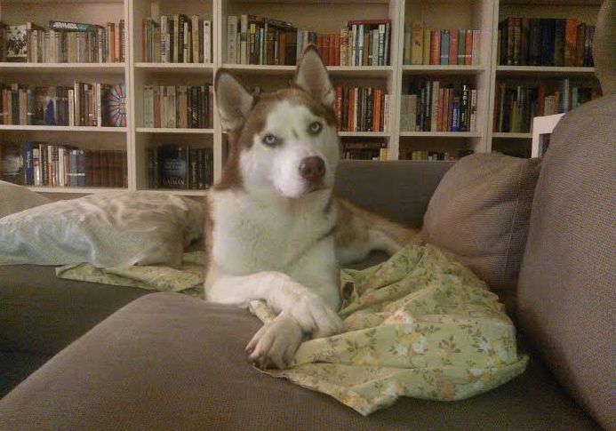 00 cloud thinks in french