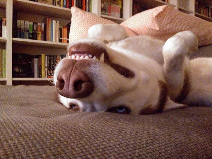 00 cloud upside down and tiny tongue