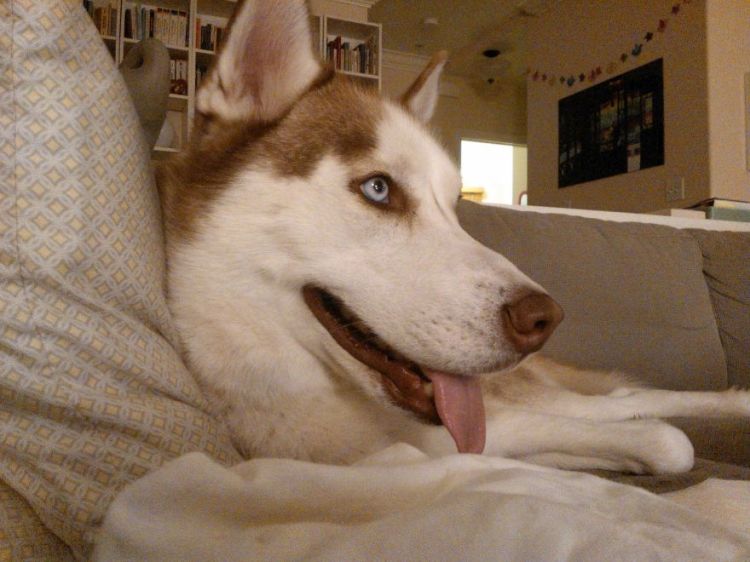 00 GAMES ARE SO FUN TO WATCH