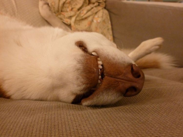 00 sleep harder hard sleeper