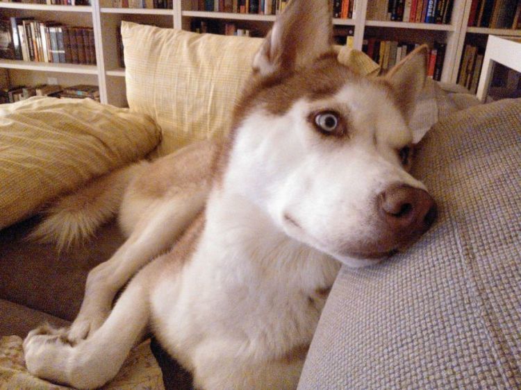 00 todd is my best friend and i miss him so hard