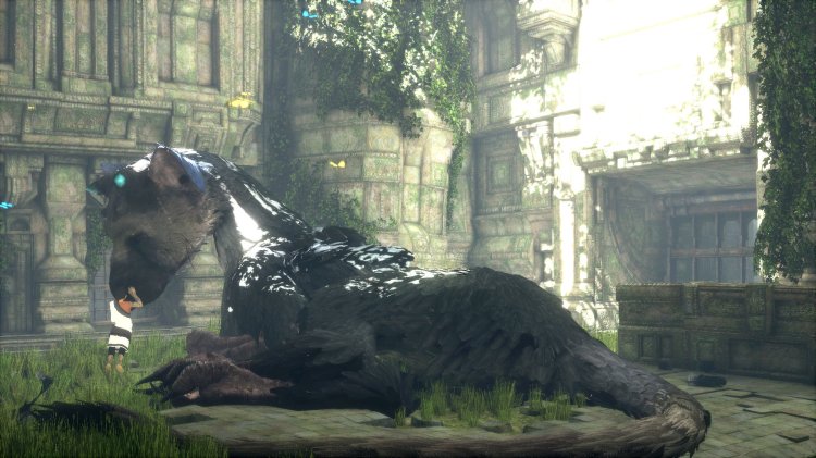 the last guardian 02